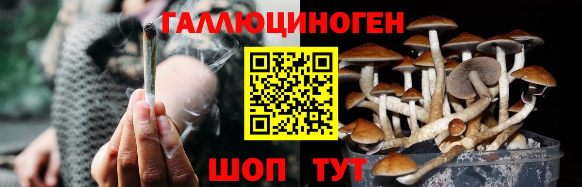 Зеленокумск  Галлюциногенные грибы мухоморы  Галлюциногенные грибы мицелий  Вход с VPN 